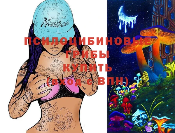 гидра Волоколамск