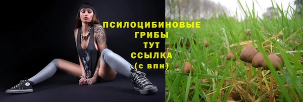 гидра Волоколамск