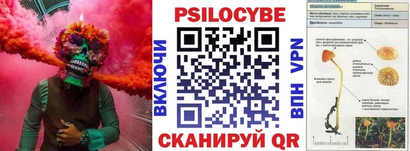 Галлюциногенные грибы Magic Shrooms  гидра ТОР  Чистополь 