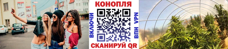 Шишки марихуана White Widow  дарк нет формула  Чистополь 